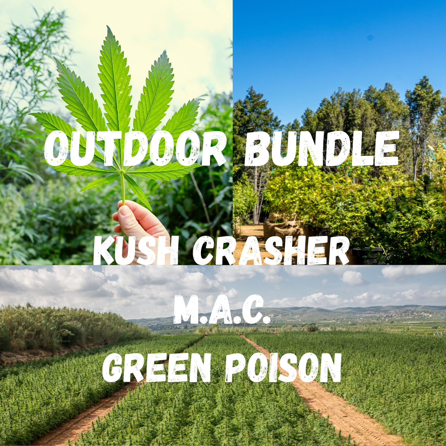 Outdoor Bundle