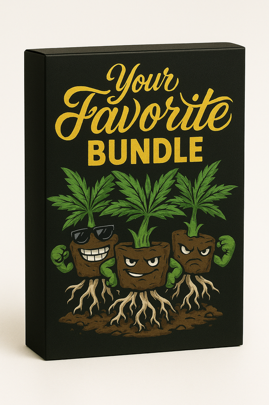 Favorites Bundle